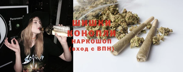 apvp Гусиноозёрск