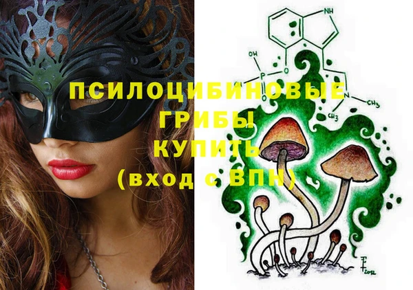 прущие грибы Горнозаводск