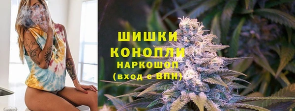 apvp Гусиноозёрск