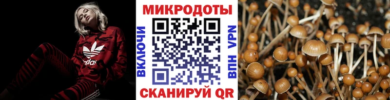 кракен tor  Егорьевск  Псилоцибиновые грибы Psilocybe 
