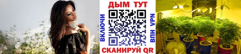 ссылка на мегу рабочий сайт  Егорьевск  даркнет какой сайт  Шишки марихуана OG Kush 